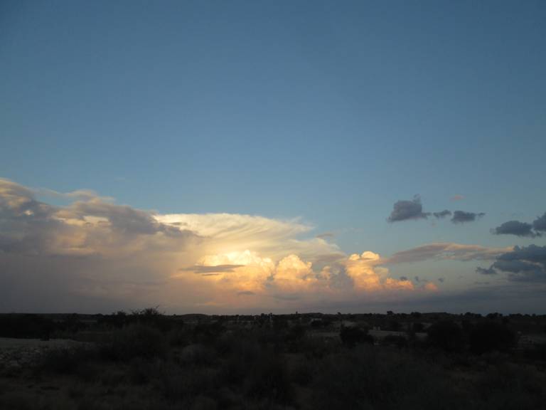 Regen in der Kalahari